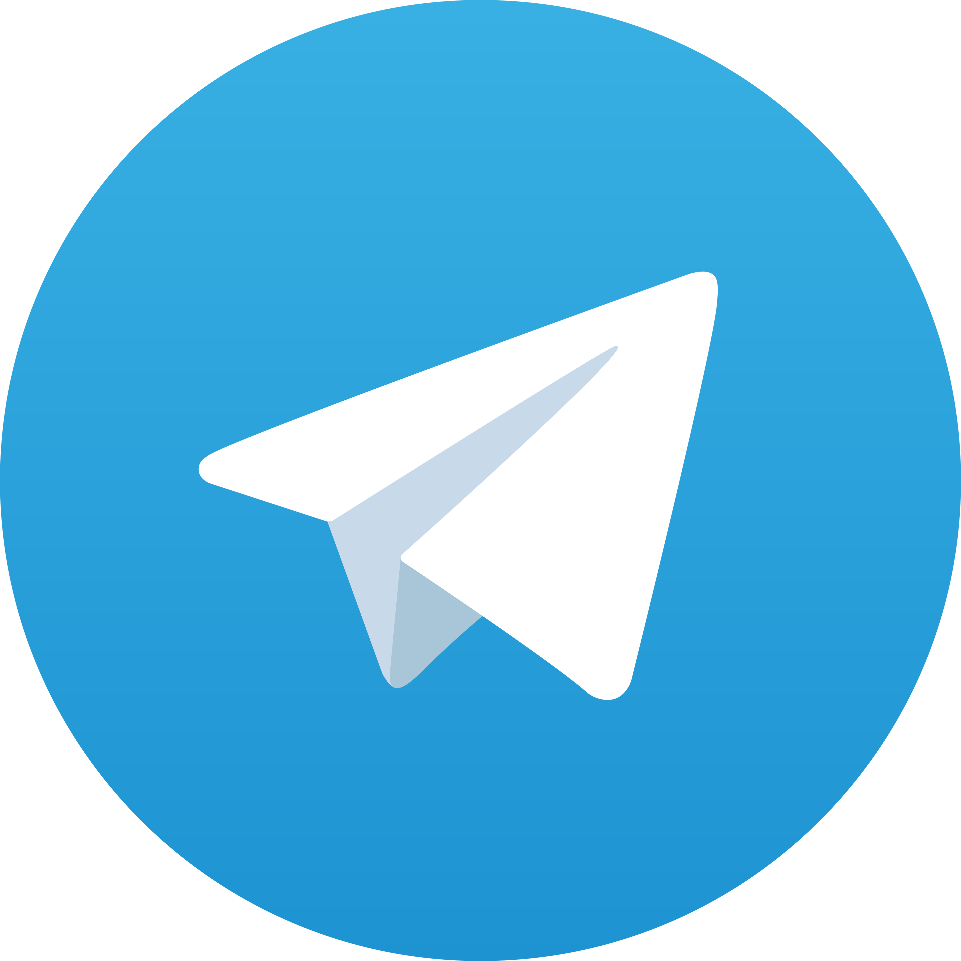 Telegram SETANTOTO123